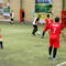 3815187.jpg