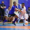 4513597.jpg