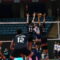 4611582.jpg