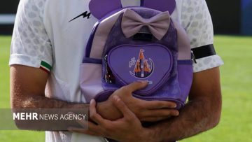 6004173.jpg