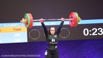 6131451.jpg