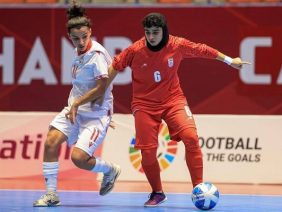 6081372.jpg